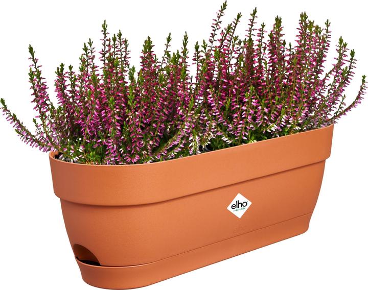 Produktbild Elho Balkonkasten Vibia Campana 49x18.2x17 cm (18.20 cm)