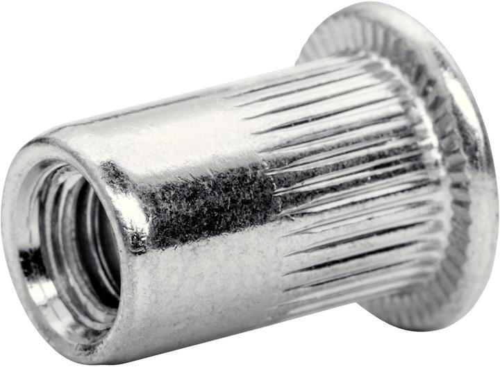 Immagine prodotto Rapid Dadi per rivetti ciechi M6