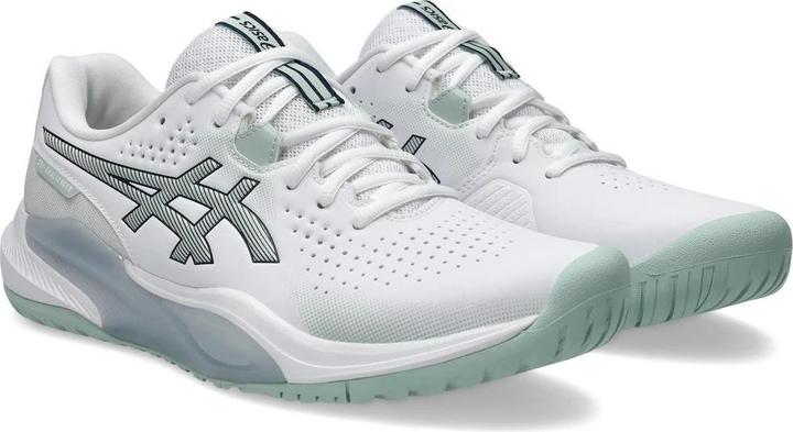 Image du produit ASICS Performance Gel-Challenger 15 (46.5)