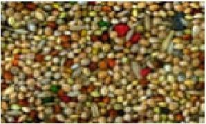 Produktbild Schweizer Wellensittichfutter (1 x, 1 kg)