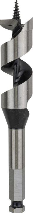 Produktbild Bosch Professional Zubehör PRO Wood Holzschlangenbohrer, 25 x 100 x 160 mm (25 mm)