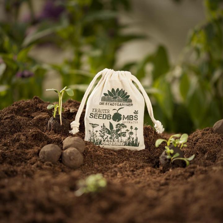 Immagine prodotto Die Stadtgärtner bomba da seme (Bomba da seme)