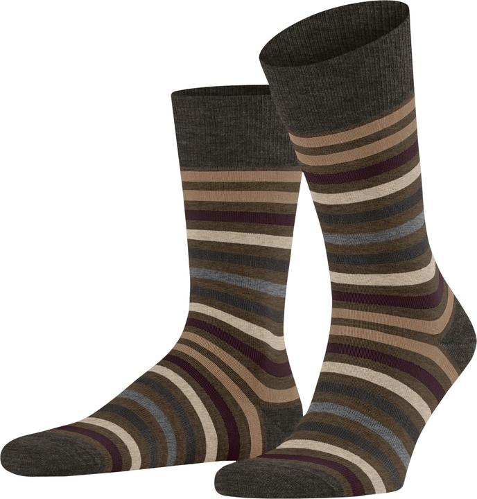 Actual product image Falke Tinted Stripe (Single pack, 43 - 46)