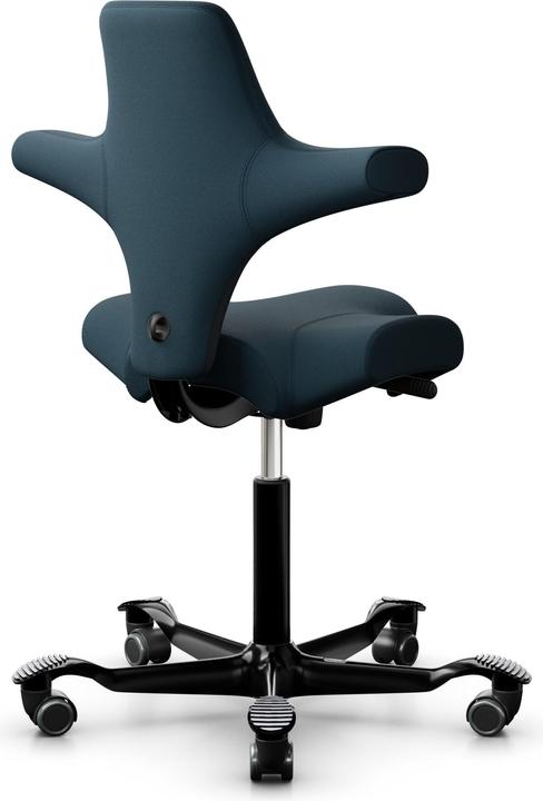 Actual product image HAG Capisco 8106 Select