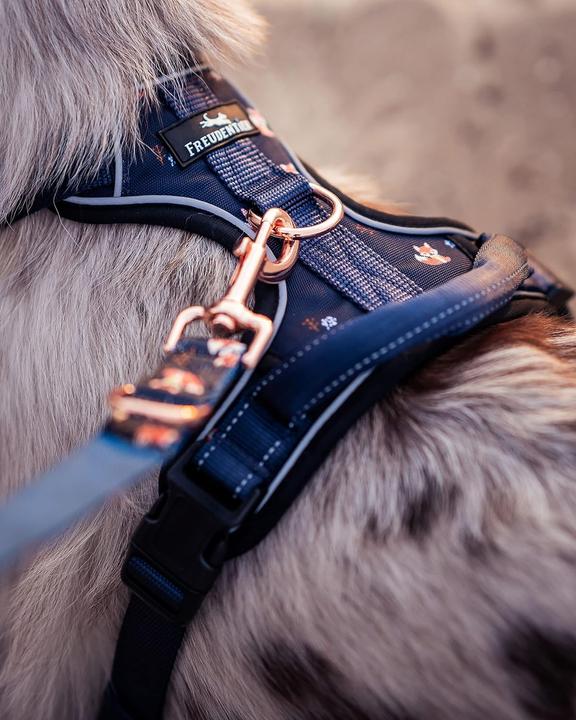 Image du produit Freudentier Harnais respirant pour chien (L, Chien, Général)