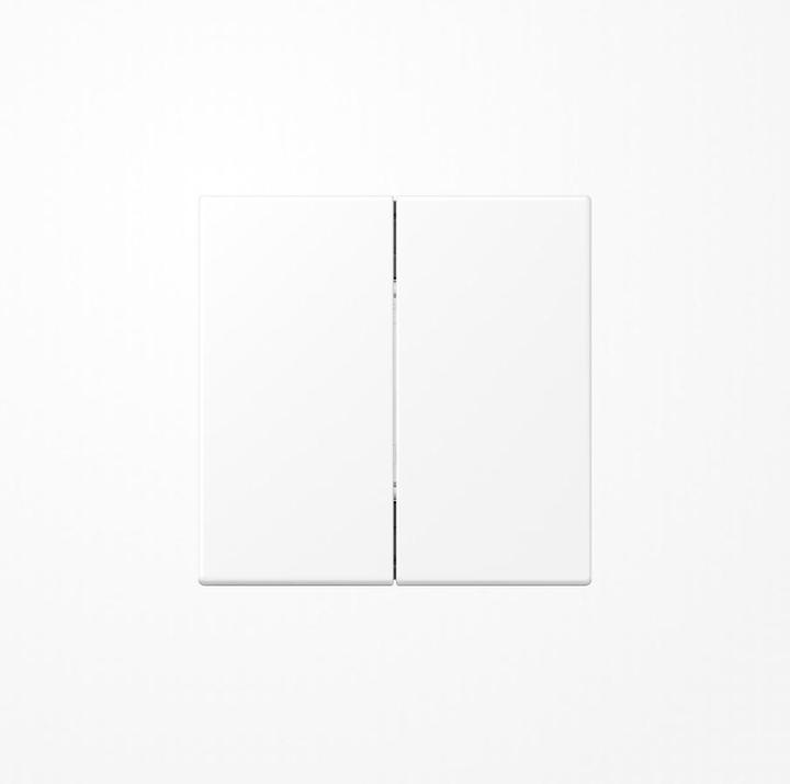 Image du produit JUNG Émetteur mural radio