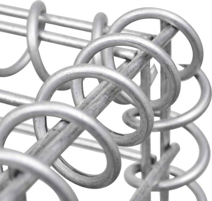 Immagine prodotto vidaXL Gabionen-Hochbeet