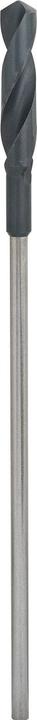 Produktbild Bosch Professional Zubehör PRO Wood HSS Installationsbohrer, 20 x 100 x 400 mm (10 mm)