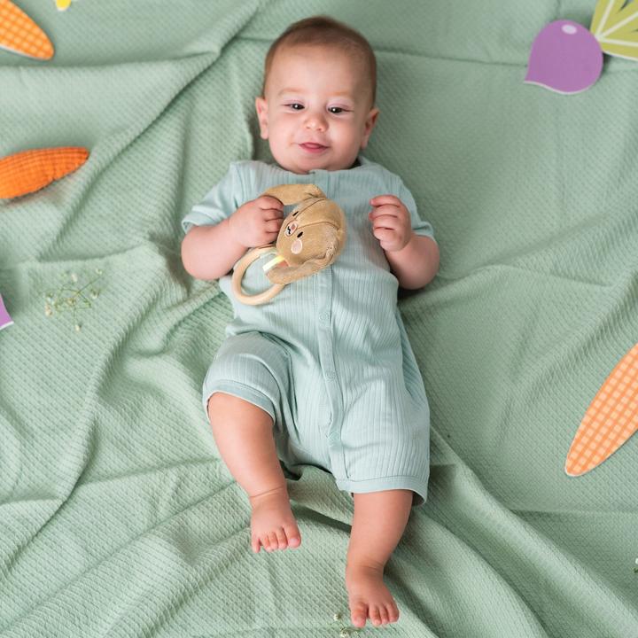 Image du produit Taf Toys Lapin Jenny