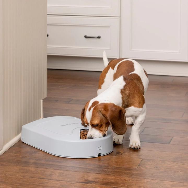 Produktbild PetSafe Futterautomat (0.20 l)