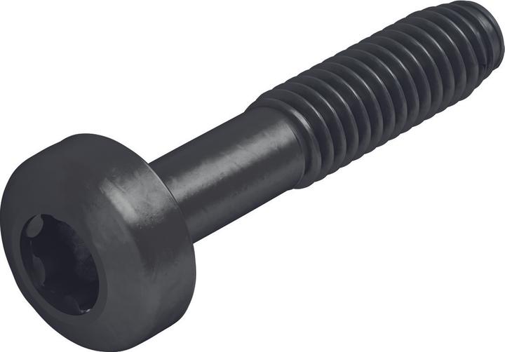 Sherpa Locking screws (20 pcs.)