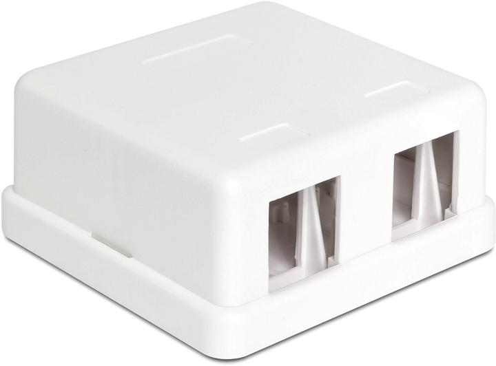 Actual product image Delock Keystone Surface Mounted Box