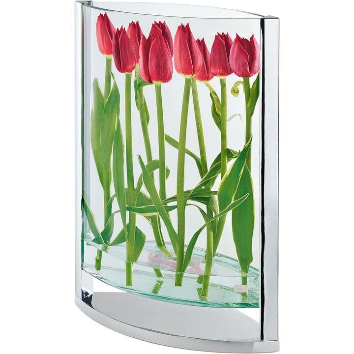 Actual product image Philippi Decade (1x)