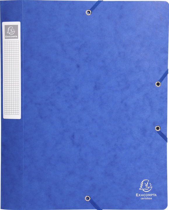 Actual product image Exacompta Archive boxes (A4)