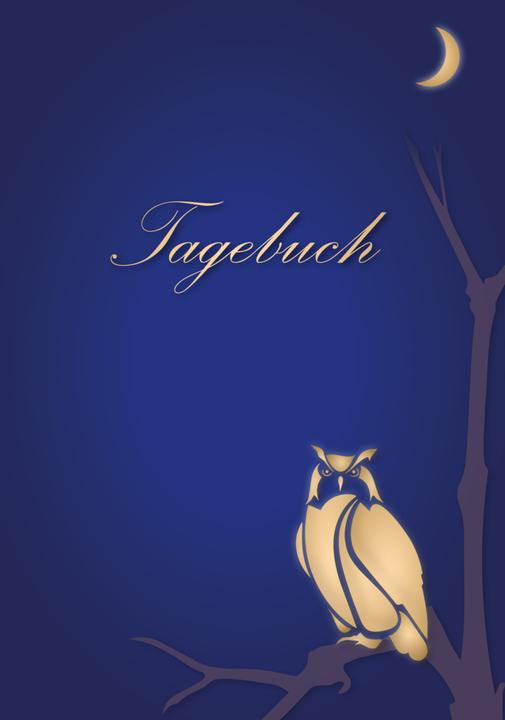 Produktbild Tagebuch Eulen (Deutsch)
