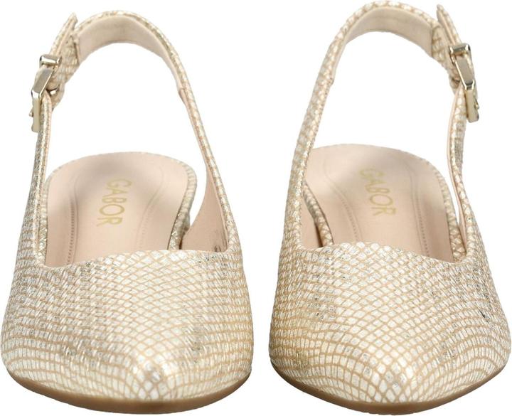 Produktbild Gabor Pumps (40.5)