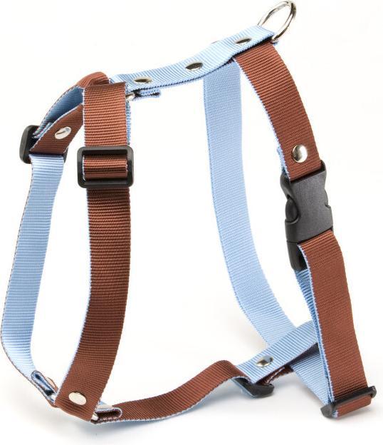 Bleu, Marron