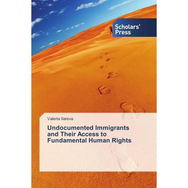 Undocumented Immigrants and Their Access to Fundamental Human Rights, Fachbücher