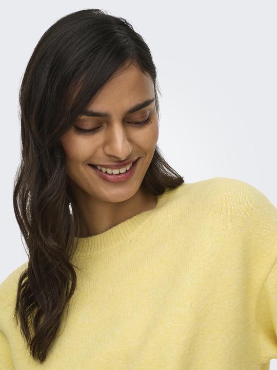 Produktbild JdY Jdychloe Life 3/4 On Pullover Knt Noos (M)