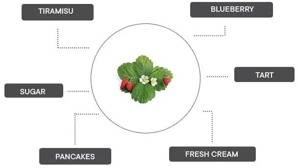 Immagine prodotto Véritable Lingot Wild Berry rosso BIO (Seme di frutta)