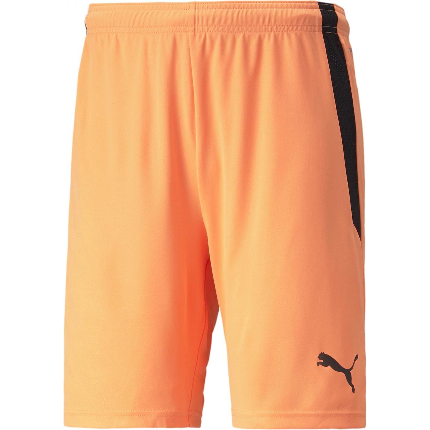 Puma, Herren, Sporthose, teamLIGA Shorts-704924 (L), Schwarz, L