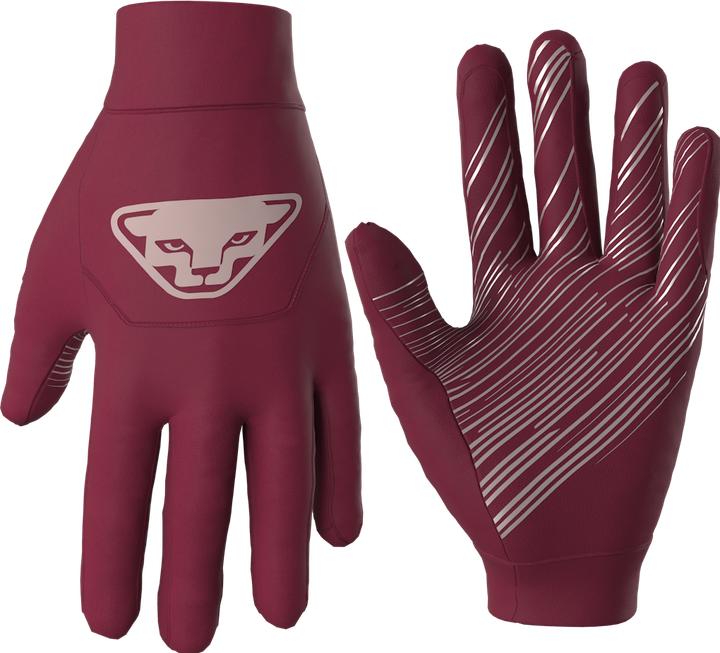 Produktbild Dynafit Upcycled Speed Handschuhe (M)