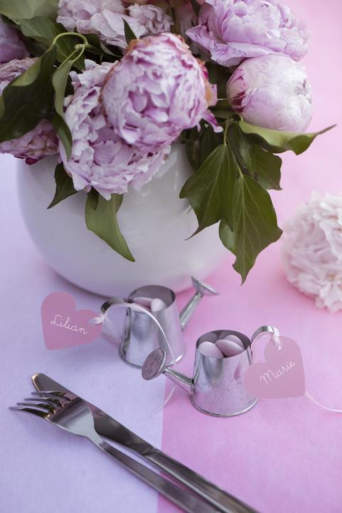 Image du produit Santex Etiquette carton coeur - Blanc (10pcs) (10 pcs)