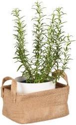 Actual product image Wenko Juna storage basket (13 cm)