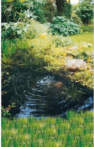 Actual product image TIP API 100/1