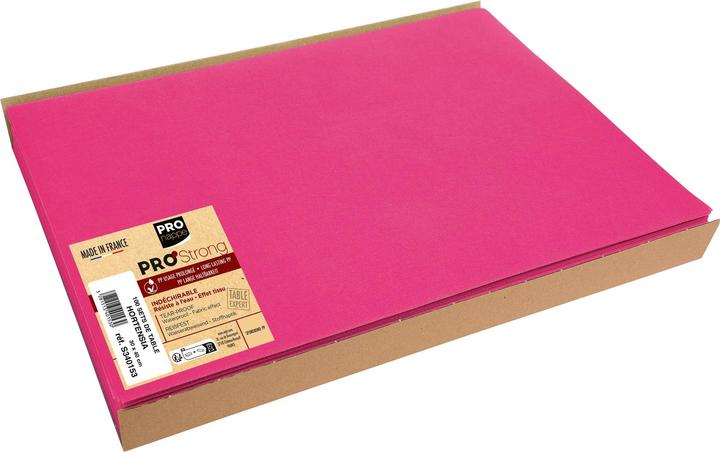 Actual product image Exacompta Placemat Spunbnd Hyd rangea, 30x40, Pk100 (1 pcs., 30 x 40 cm)