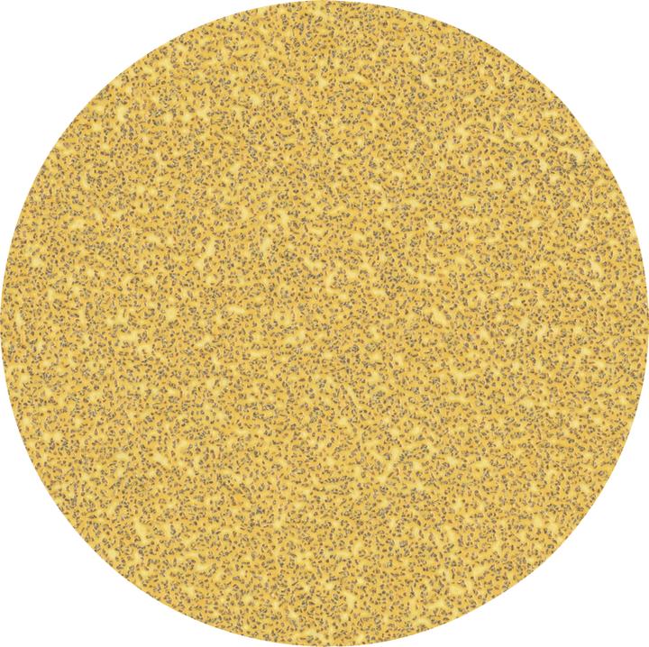 Image du produit Bosch Professional Zubehör EXPERT C470 Papier abrasif sans trous pour meuleuses d'angle et perceuses, 125 mm, G 40, 50 pcs. (40)