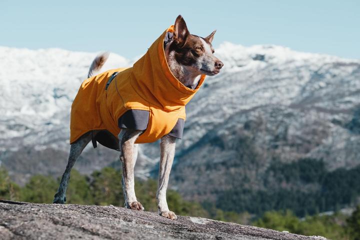 Actual product image Hurtta Expedition Parka (70, M, Dog coat)
