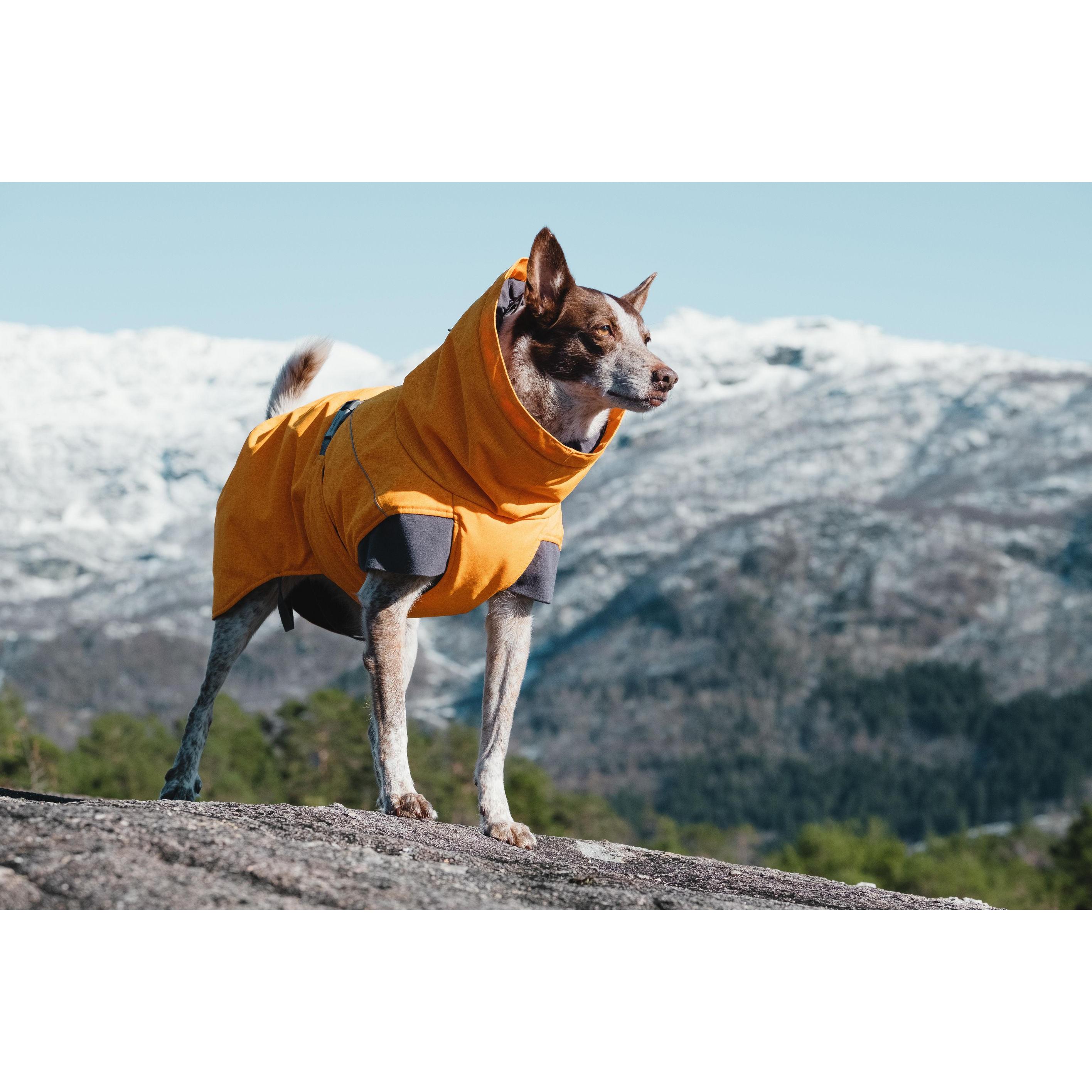 Thumbnail - Hurtta Expedition (60, M, Hundemantel), Hundebekleidung