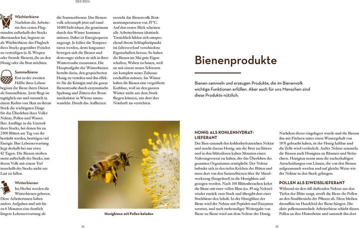 Immagine prodotto Kosmos Bienen halten mit der BienenBox (Tedesco, John Weber, 2024)