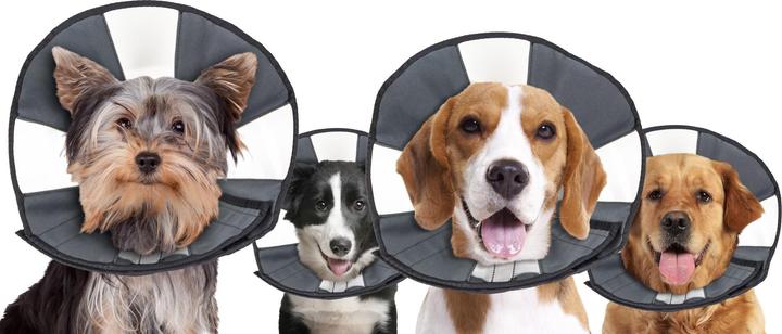 Produktbild ZenPet Procone L (Katze, Hund)