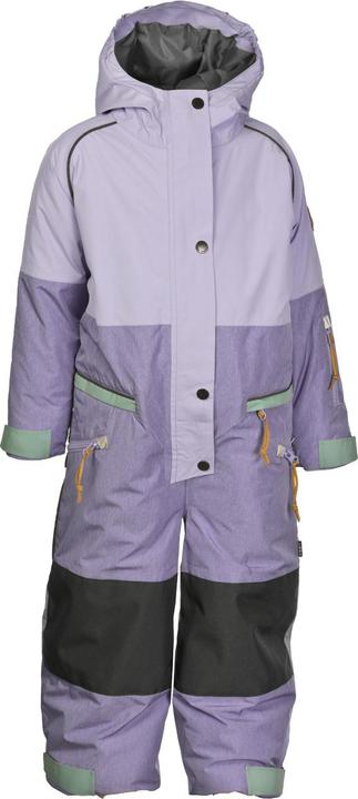 Paisley Viola