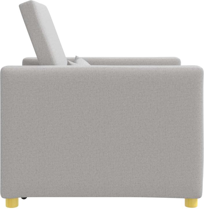 Image du produit vidaXL Klappsofas