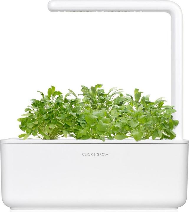 Actual product image Click and Grow Cress (Vegetable seeds)