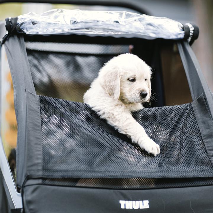 Image du produit Thule Hundeset zu Courier