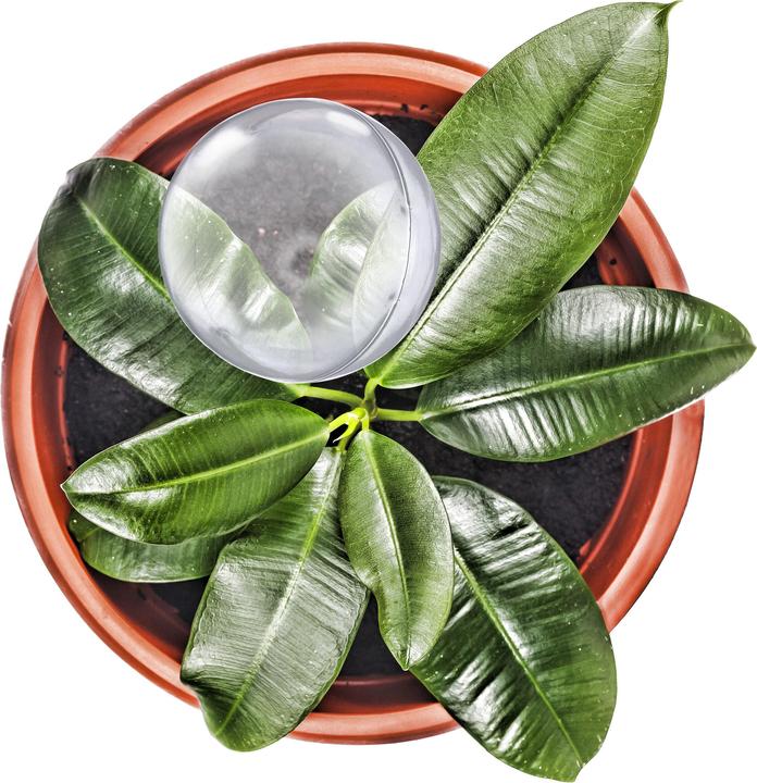Image du produit Relaxdays 5x boules d'irrigation (Boules d'arrosage)