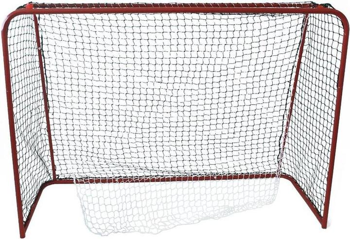 Actual product image Champ Floorball goal