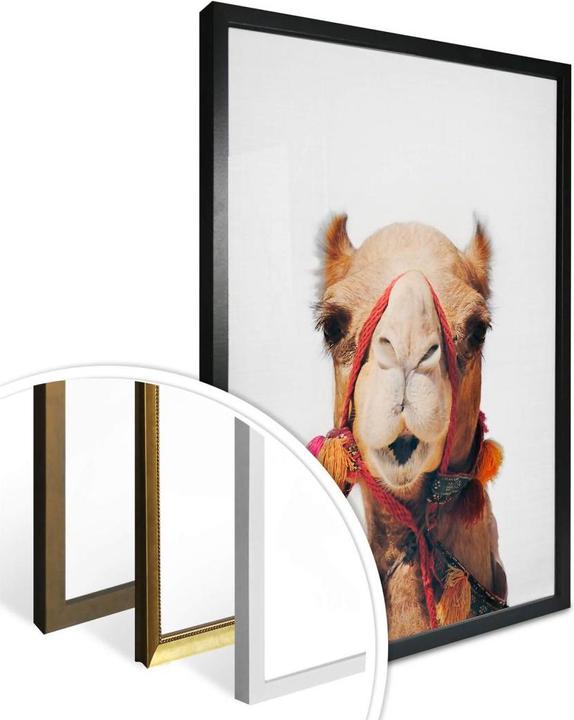 Produktbild Trenddeko Das Kamel (80 x 100 cm)