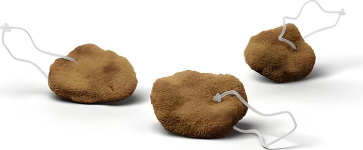 Actual product image Hera Organics Starter Kit Menstrual Sponges Size S (3 x, S)