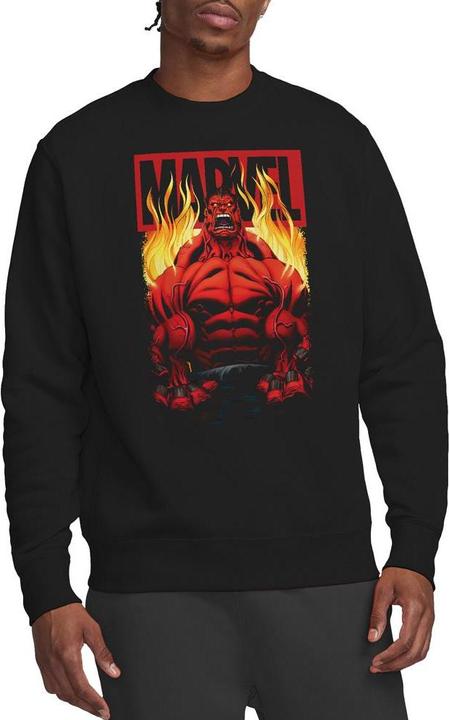 Image du produit - Sweat - Adulte (XL)