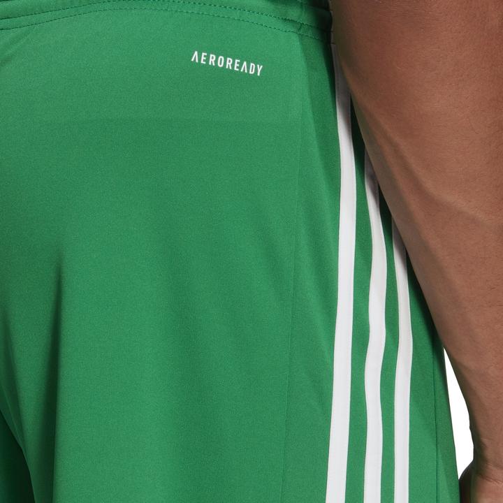 Actual product image adidas Squadra 21 Short (XS)