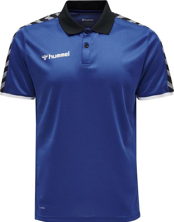 Produktbild hummel Authentic Functional Polo (L)