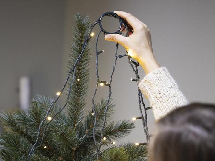 Actual product image Vellight Atria LED - for trees of 1.8 m - 220 LEDs - multicoloured - green cable - 24 V (1.80 m)