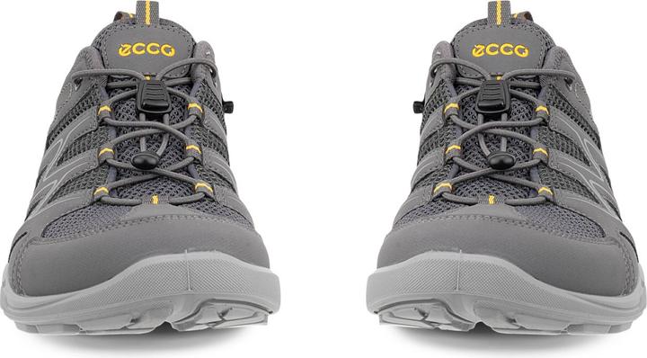 Image du produit Ecco Terracruise LT (45)