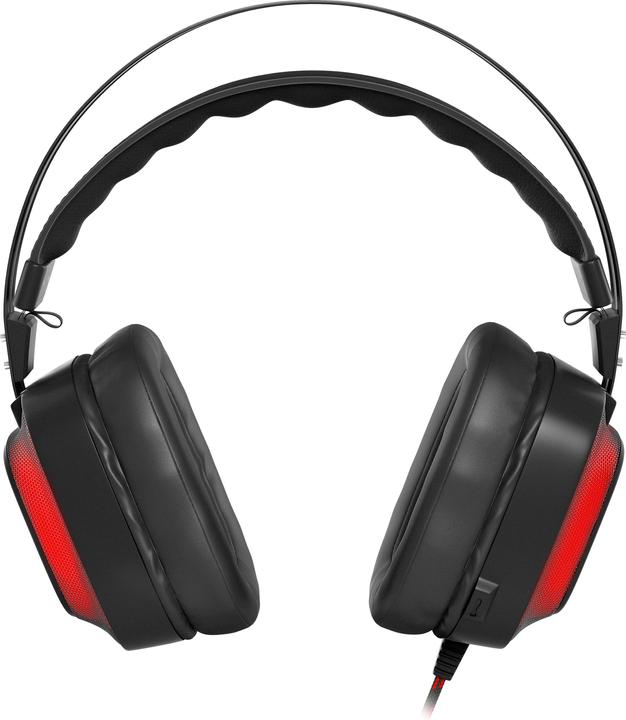 Immagine prodotto Genesis RADON 720 7.1 (Cablato)