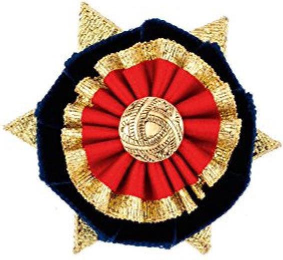 Actual product image Showquest Buttonhole pin BostonLudlow (One size)